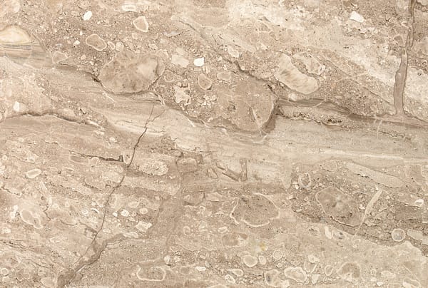 Breccia Sarda